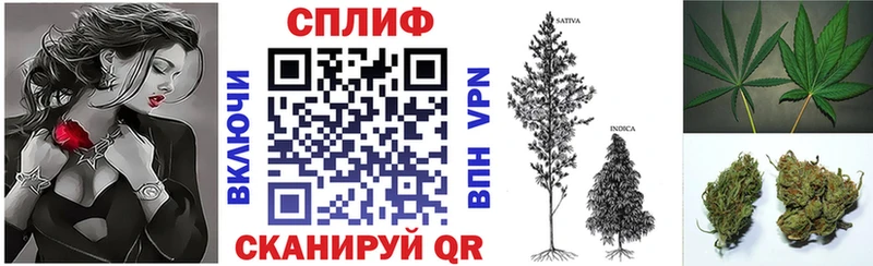 Где продают наркотики Электроугли APVP  АМФЕТАМИН  Метадон  ГАШИШ  Псилоцибиновые грибы  Бошки Шишки  Меф мяу мяу 